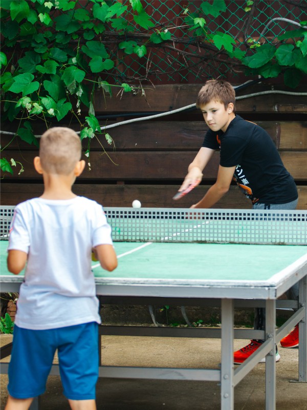 Настольный теннис