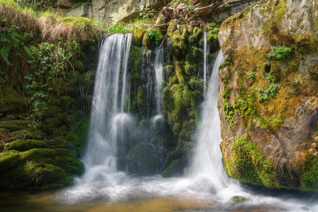small_waterfall_on_a_mossy_wall_in_a_limestone_gor_2023_11_27_05.webp