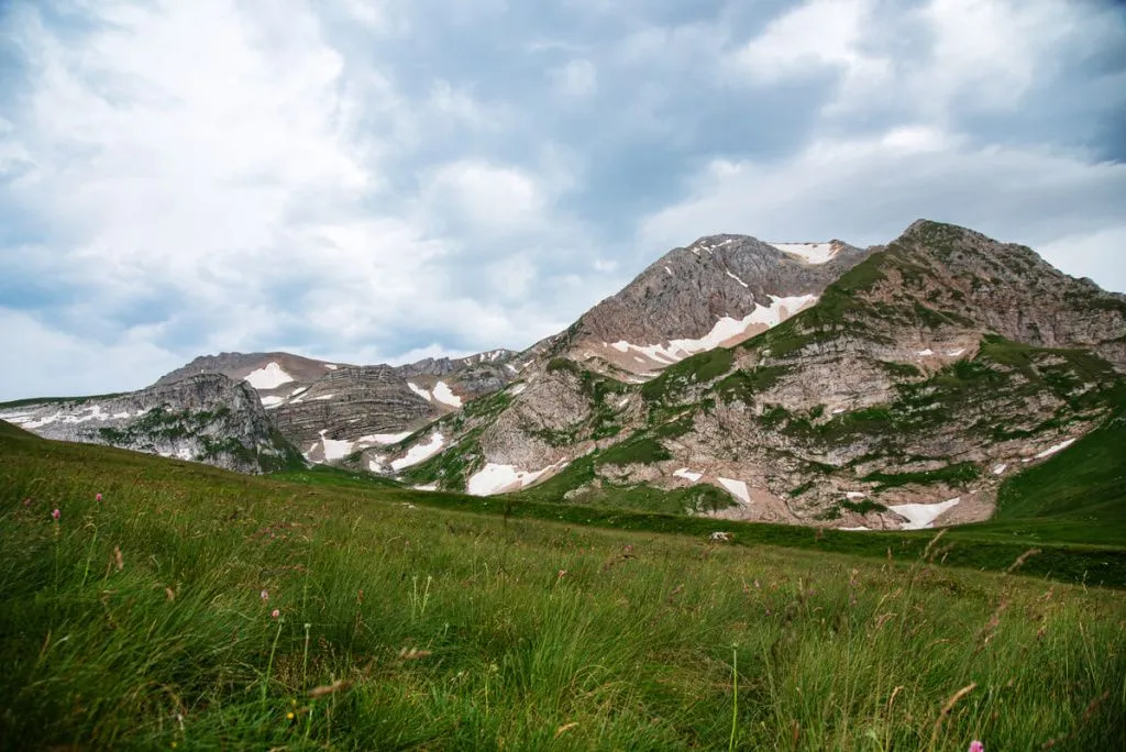 summer_landscape_on_a_cloudy_day_in_the_mountains_2024_12_05_23.webp