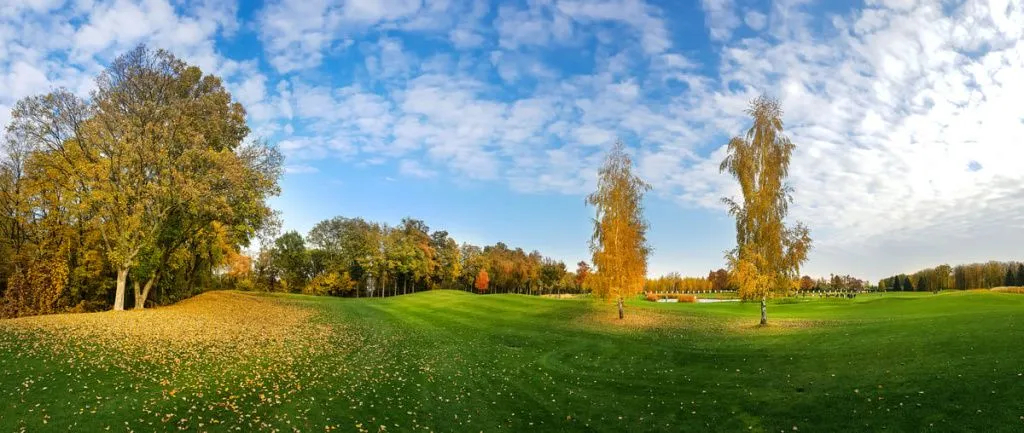autumn_park_trees_with_colorful_foliage_panorama_2024_12_03_16_42.webp
