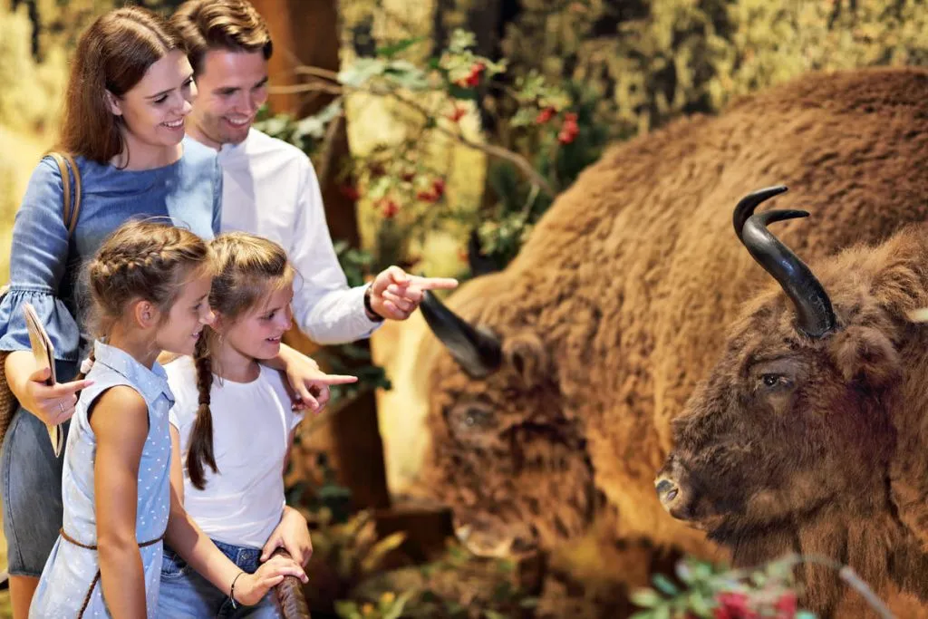 joyful-family-in-nature-museum-2023-11-27-04-49-09-utc.webp