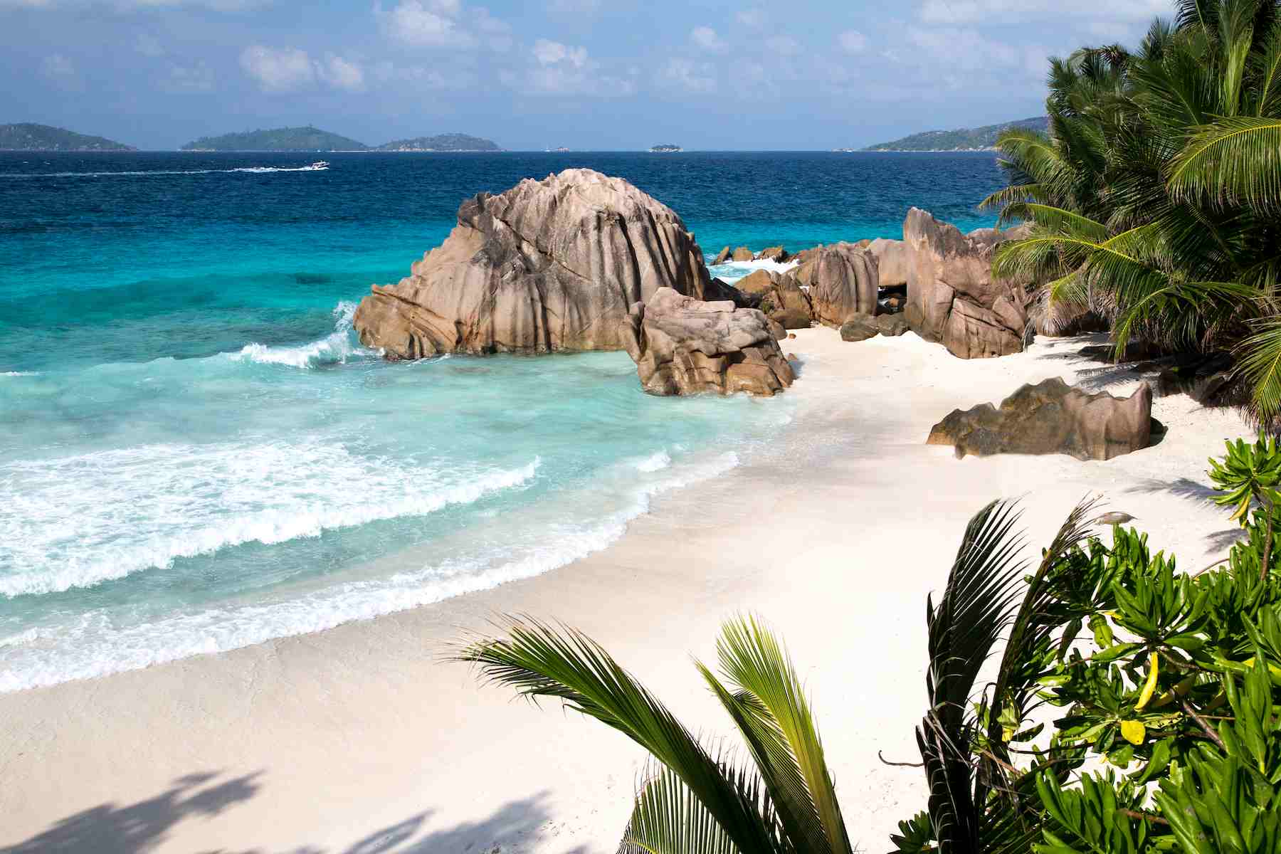 beach-with-palms-big-stones-turqouise-water-waves (1).jpg