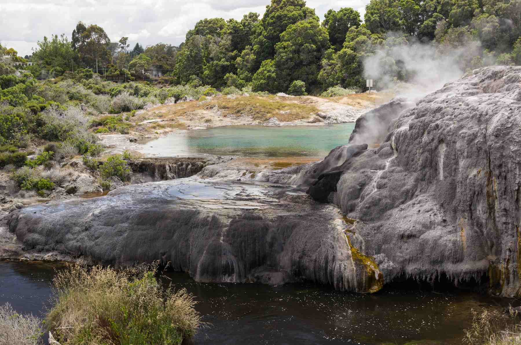 whakarewarewa-thermal-geyser-area (1).jpg