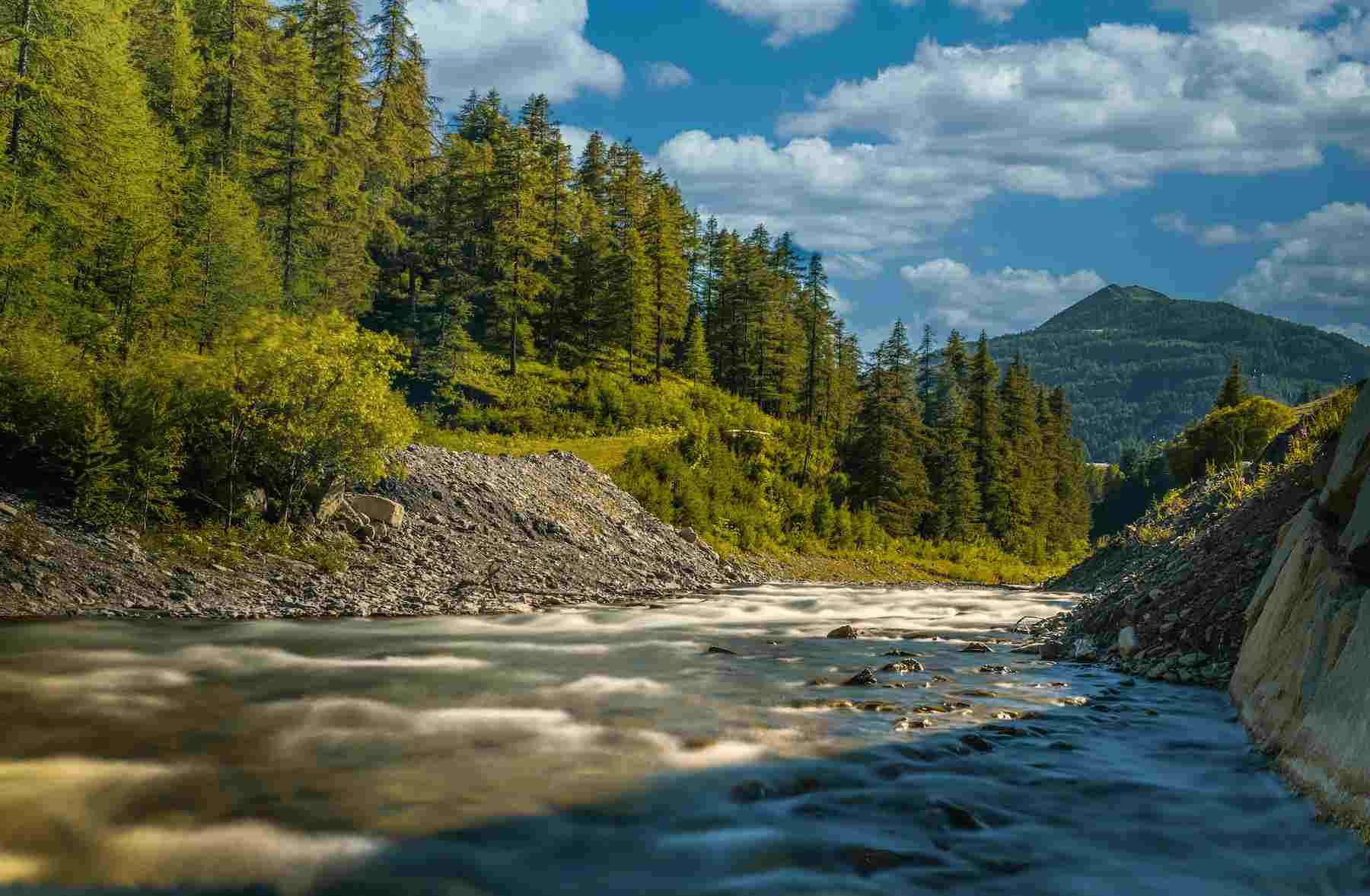 beautiful-shot-tranquil-river-surrounded-by-fir-trees (1).jpg