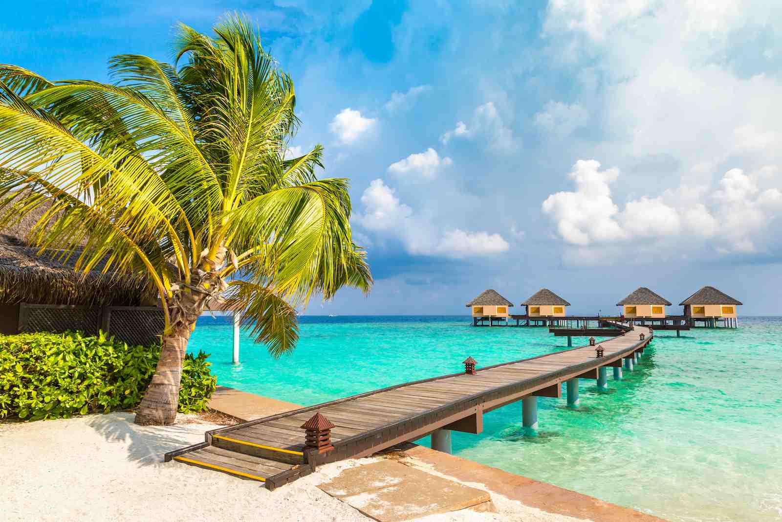 water-bungalows-tropical-island-maldives (1).jpg