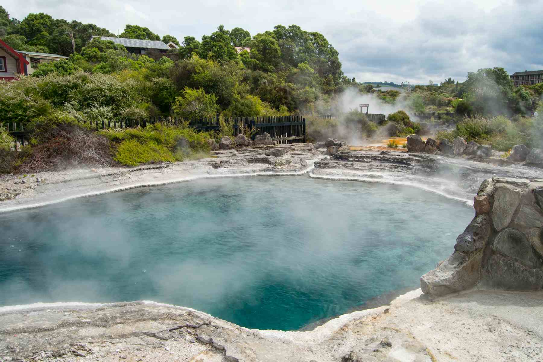 beautiful-view-te-puia-geyser-rotorua-new-zealand (1).jpg