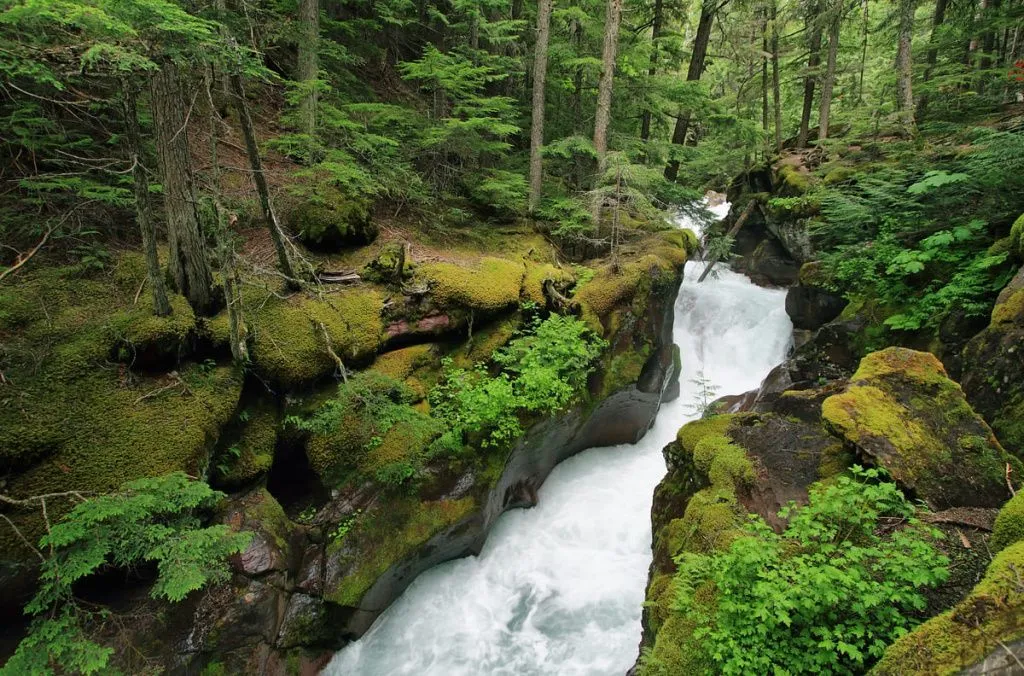narrow-canyon-of-avalanche-gorge-2023-11-27-05-28-17-utc.webp narrow-canyon-of-avalanche-gorge-2023-11-27-05-28-17-utc.webp
