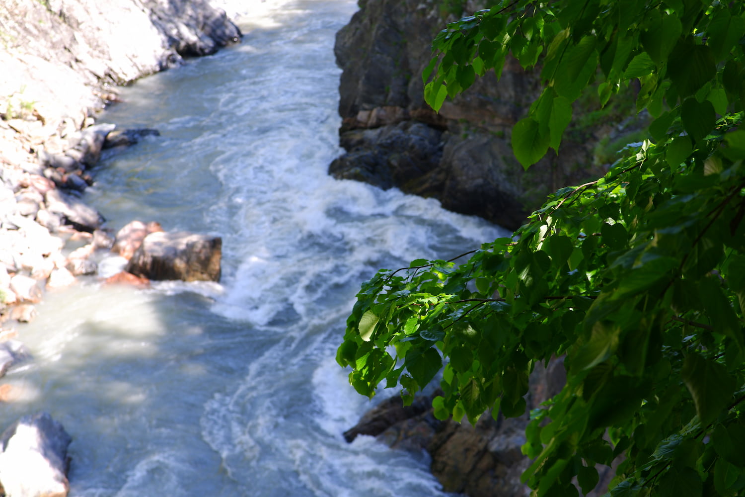 DSCF5517 (1).jpg DSCF5517 (1).jpg